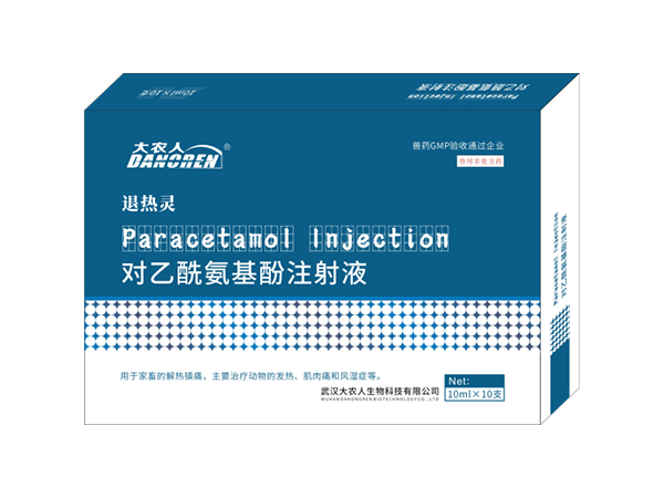 對乙酰氨基酚注射液（退熱靈）